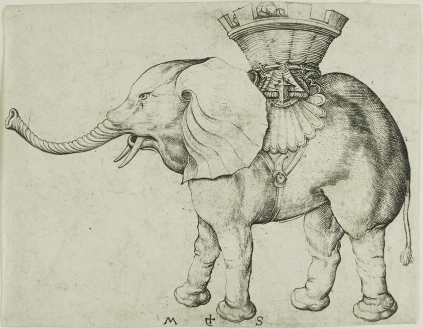 The Elephant by Martin Schongauer, c. 1485