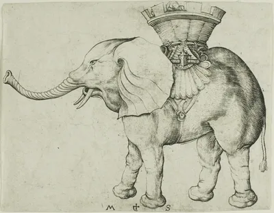 The Elephant by Martin Schongauer, c. 1485