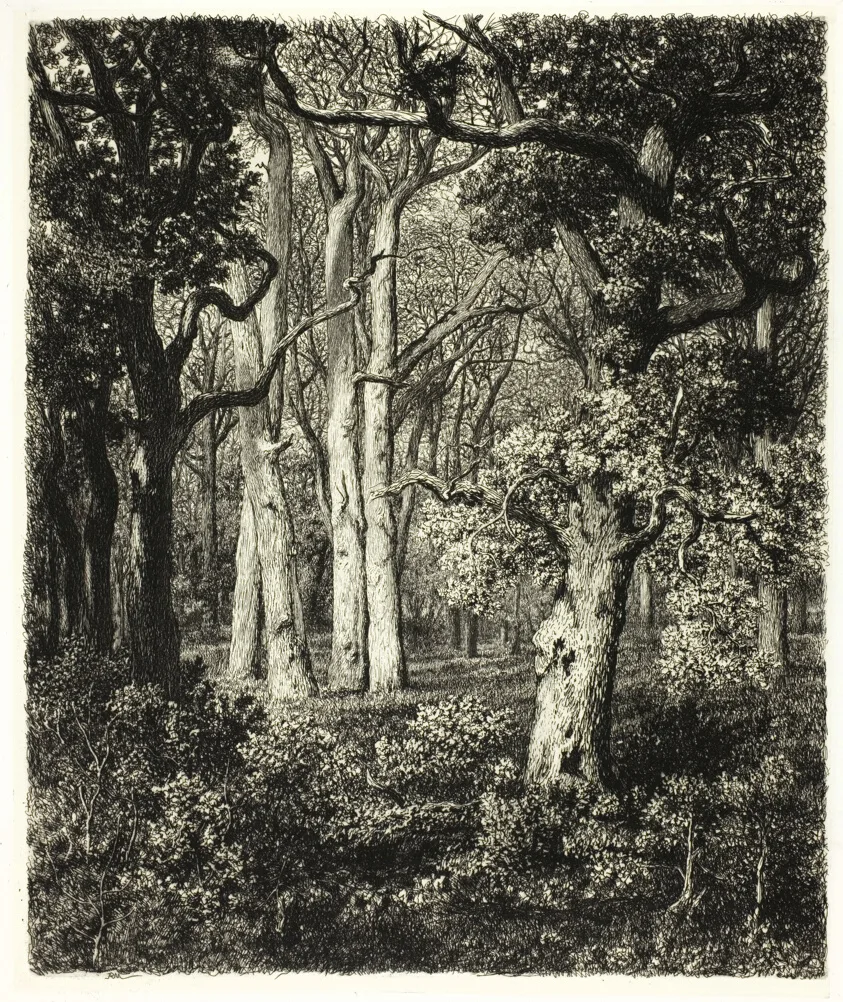 Old Oaks at Bas Bréau by Adolphe Martial Potémont, c. 1865