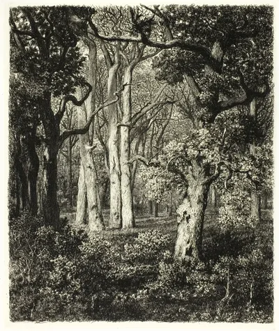 Old Oaks at Bas Bréau by Adolphe Martial Potémont, c. 1865