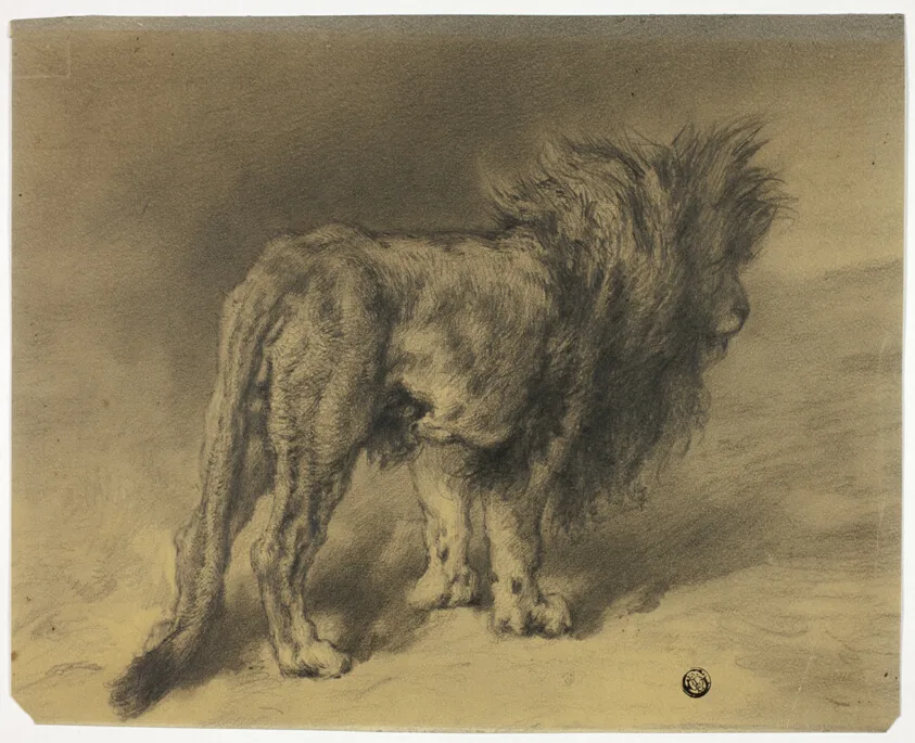 Standing Lion with Shaggy Mane by Frederik William Zurcher, n.d.