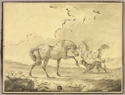 Two Horses Fighting Dog by Johann Georg Pforr, n.d.