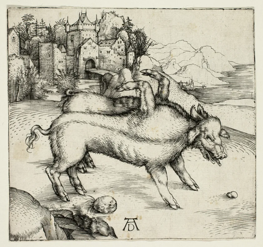 The Monstrous Sow of Landser by Albrecht Dürer, 1496