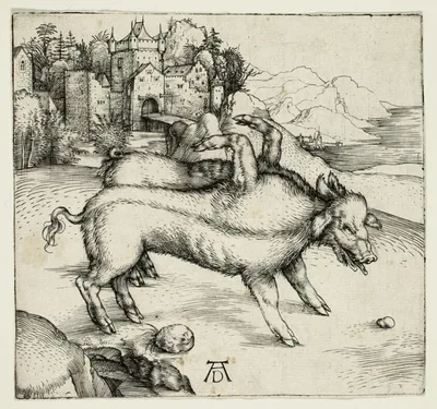 The Monstrous Sow of Landser by Albrecht Dürer, 1496