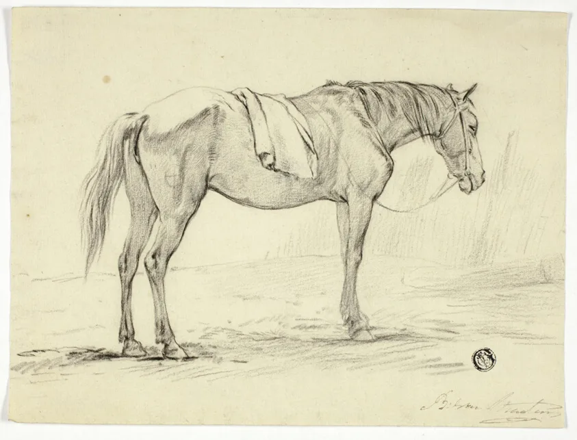 Standing Horse by Unknown artist, n.d.