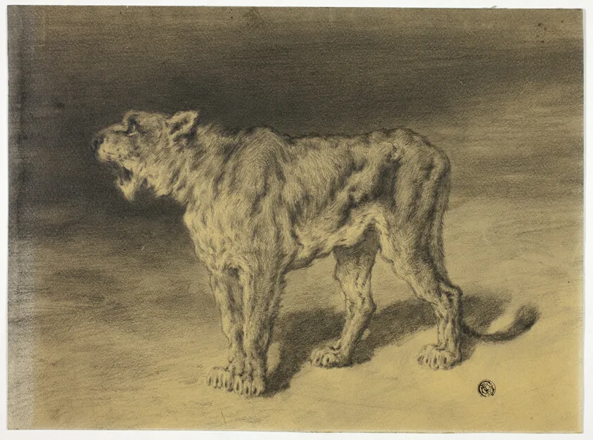 Lioness Roaring by Frederik William Zurcher, n.d.