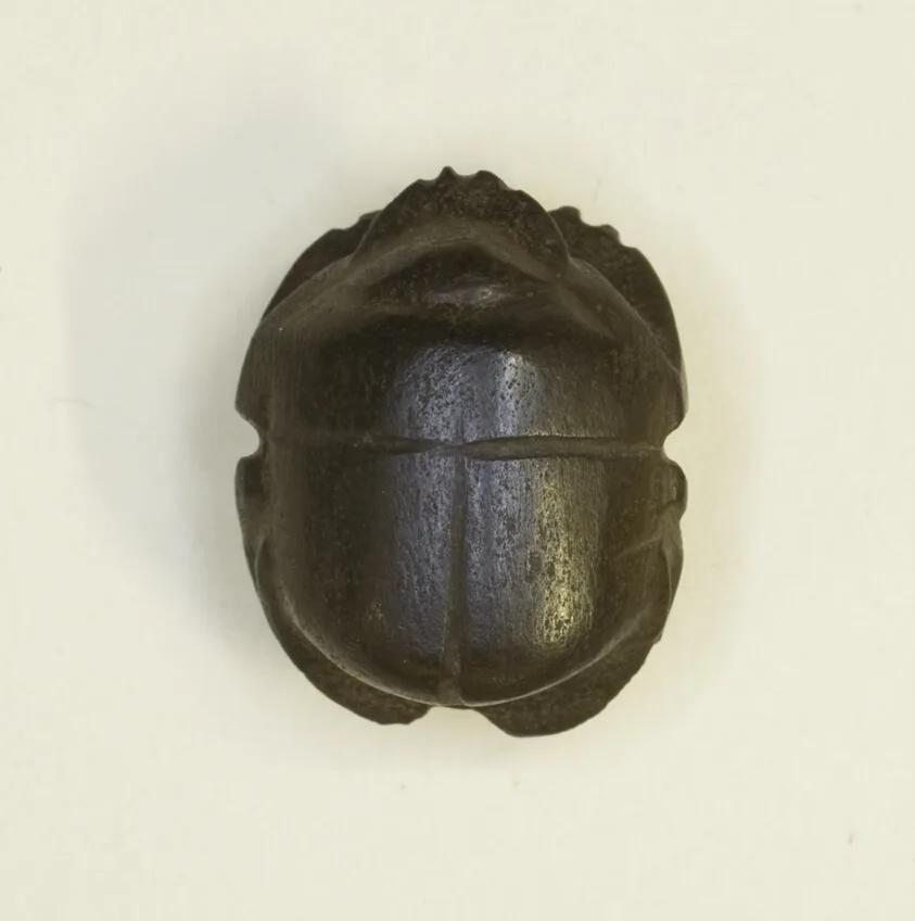 Scarab Amulet by Ancient Egyptian, Late Period, Dynasty 26 (664-525 BCE)