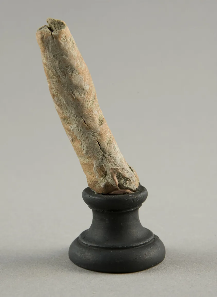 Statuette of a Tree Trunk by Ancient Greek, 3rd-1st century BCE ?