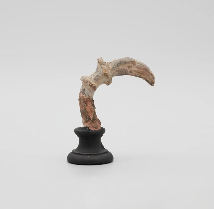 Fragment of a Bird Head by Ancient Greek, 2nd/1st century BCE ?