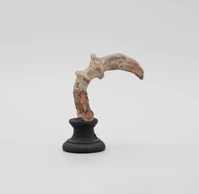 Fragment of a Bird Head by Ancient Greek, 2nd/1st century BCE ?