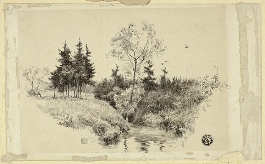 Brook in Forest by Unknown artist, n.d.