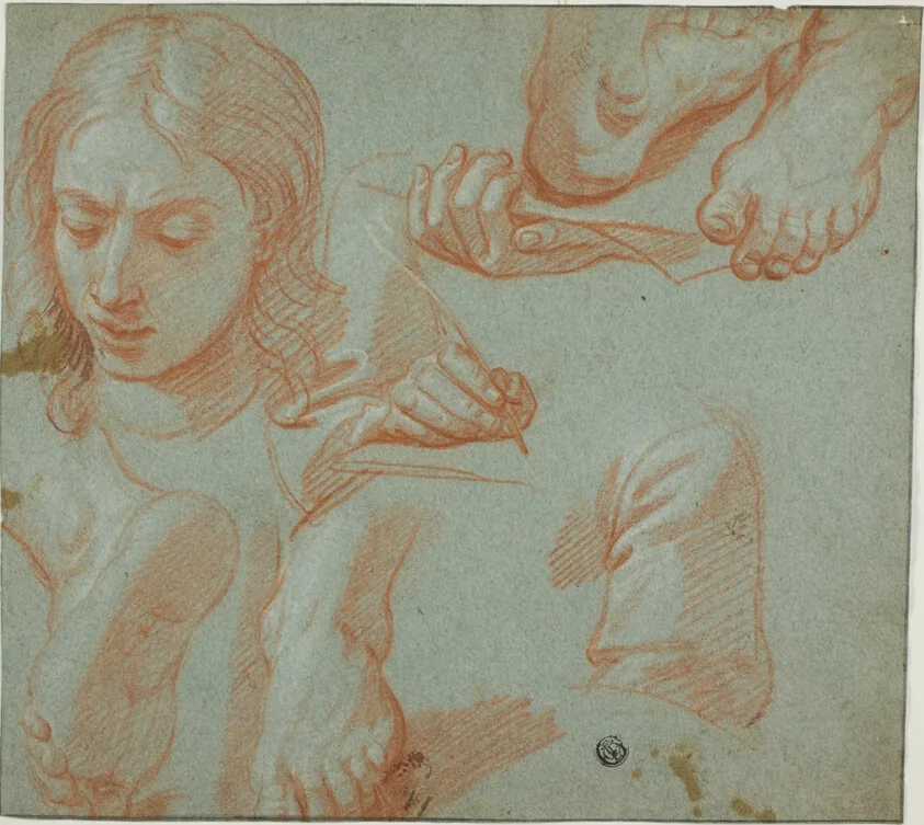 Sketches of Head, Hands, Shoulder, and Feet by Style of Agostino Masucci, n.d.