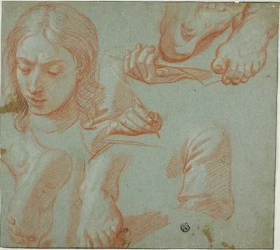 Sketches of Head, Hands, Shoulder, and Feet by Style of Agostino Masucci, n.d.