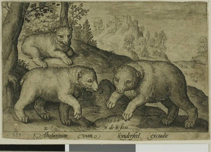Three Bears, plate ten from Four-Legged Animals by Nicolaes de Bruyn, 1594