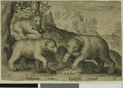 Three Bears, plate ten from Four-Legged Animals by Nicolaes de Bruyn, 1594