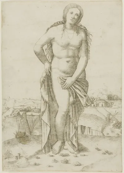 Venus by Giovanni Antonio da Brescia, c. 1513