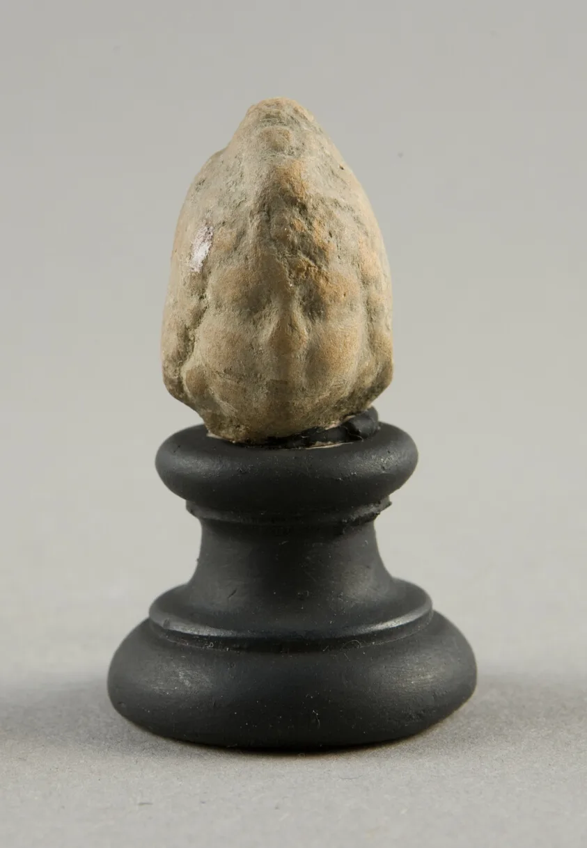 Head of a Child (?) by Ancient Greek, 2nd-1st century BCE