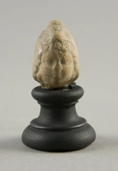 Head of a Child (?) by Ancient Greek, 2nd-1st century BCE