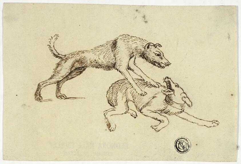 Two Dogs Fighting by Unknown artist, n.d.