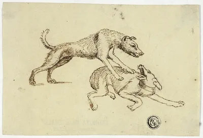 Two Dogs Fighting by Unknown artist, n.d.