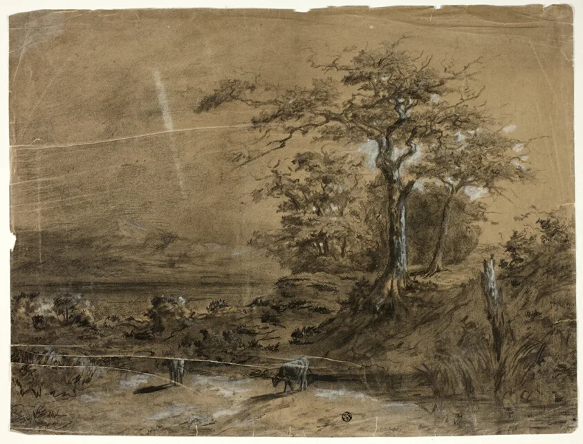 Wooded Landscape with Cows in Foreground by Unknown, n.d.