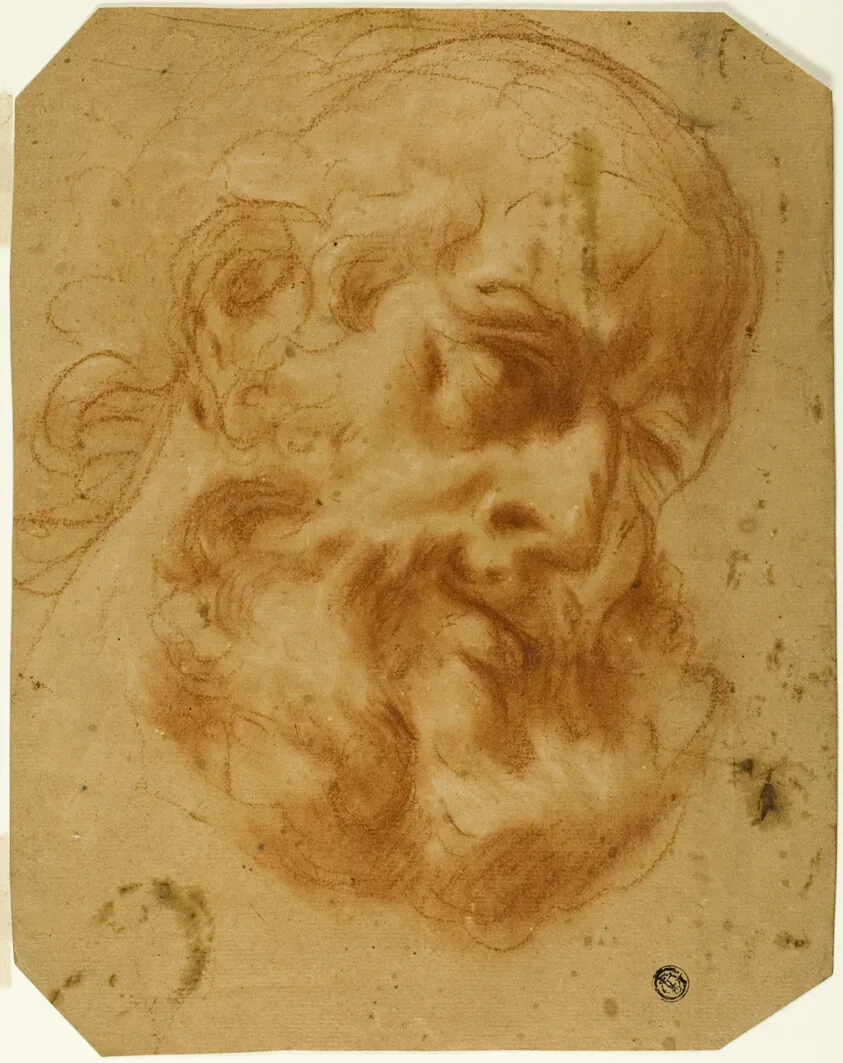 Bearded Head by Unknown artist, n.d.