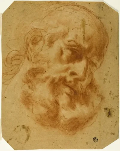 Bearded Head by Unknown artist, n.d.