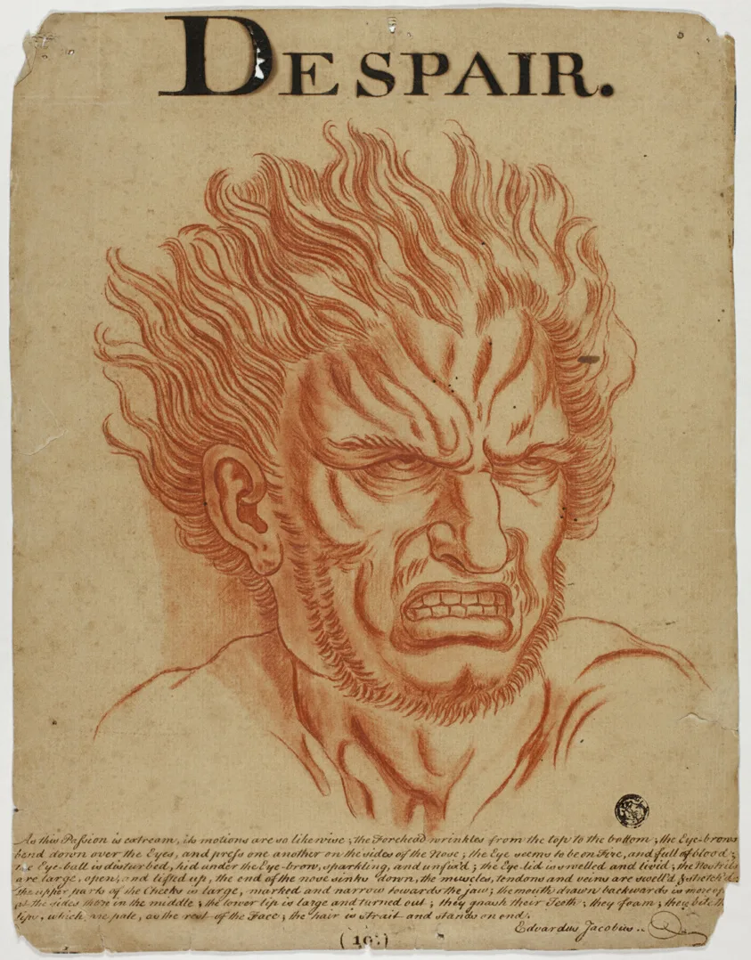 Despair by Eduardus Jacobus, after 1698