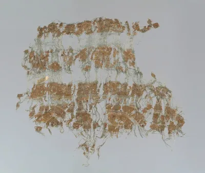 Tiraz Fragment by Egypt, Fatimid period (969-1171), 11th century