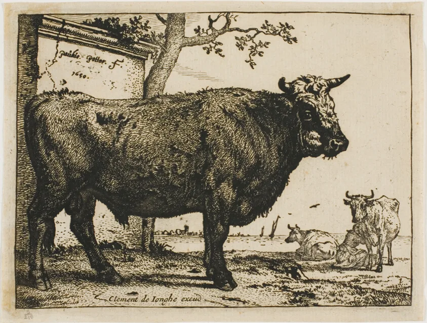 The Bull by Paulus Potter, 1650
