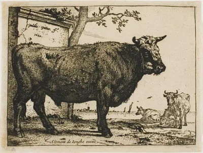 The Bull by Paulus Potter, 1650