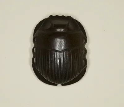 Scarab Amulet by Ancient Egyptian, Ptolemaic Period (332–30 BCE)