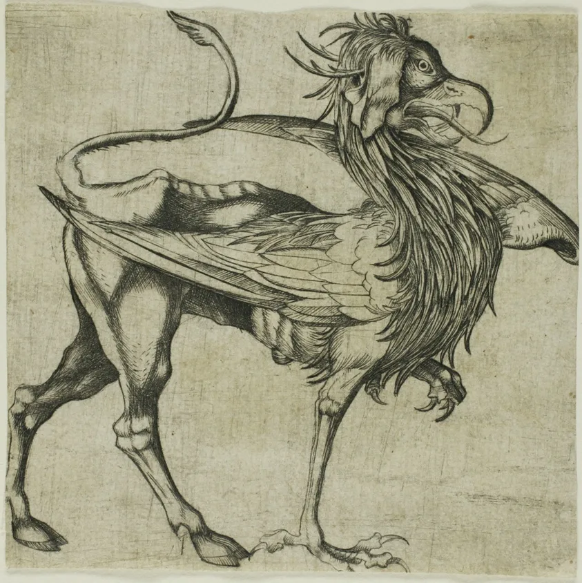 The Griffin by Martin Schongauer, c. 1485