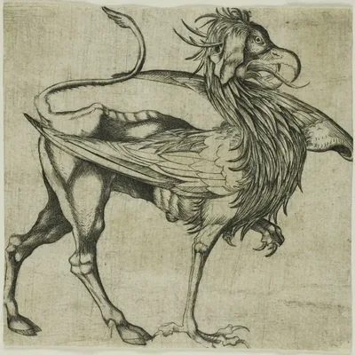The Griffin by Martin Schongauer, c. 1485